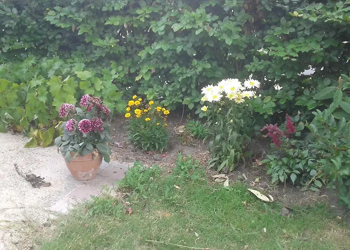 Belvedere Couette-café