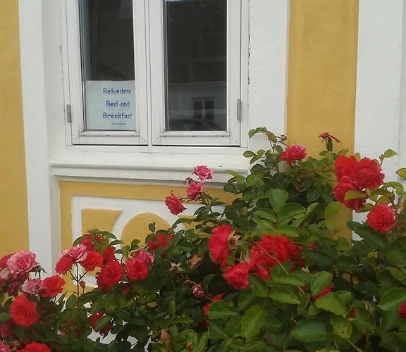 Couette-café Belvedere Svendborg